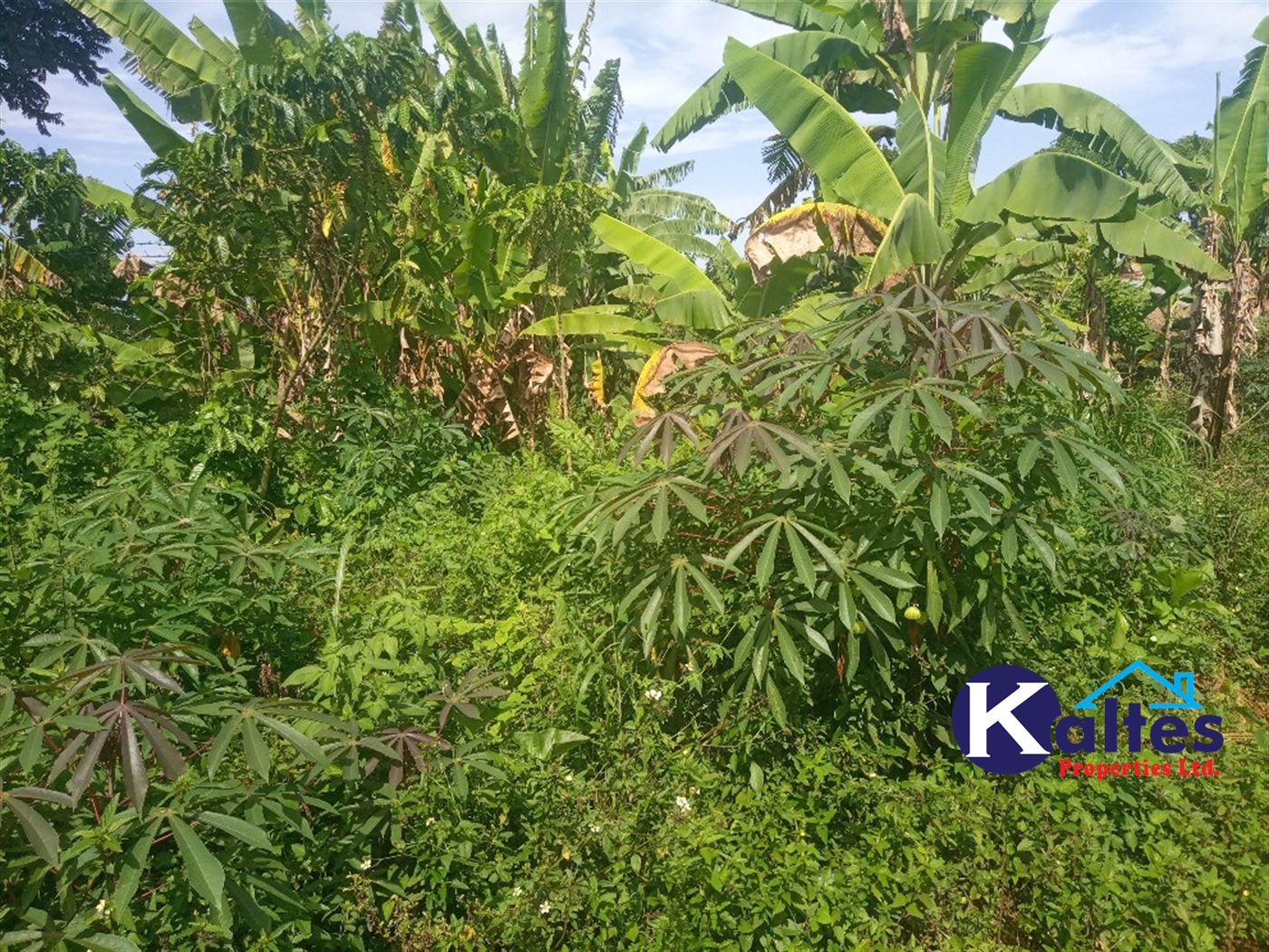 Agricultural Land for sale in Kazinga Kayunga