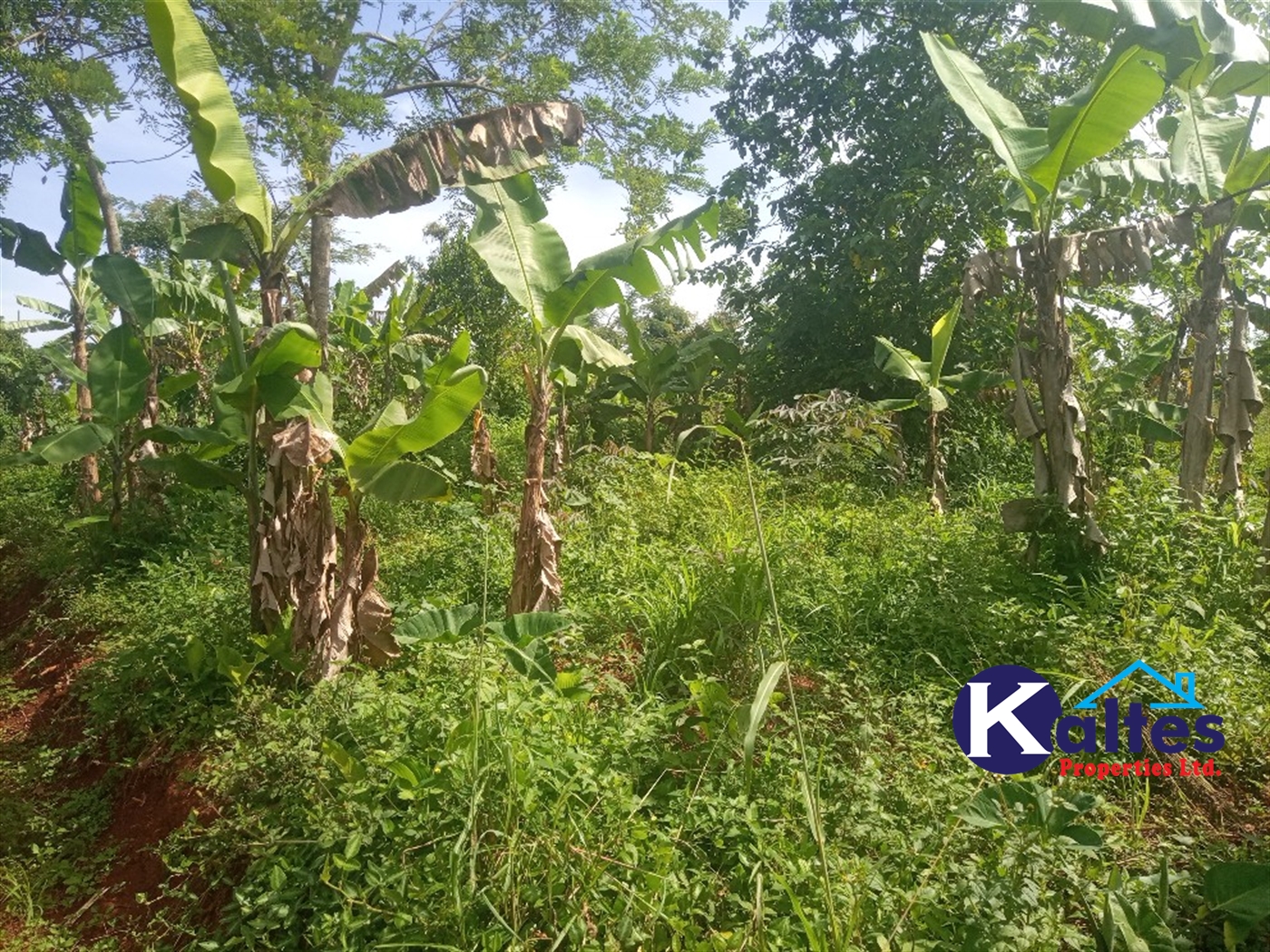 Agricultural Land for sale in Kidera Kayunga