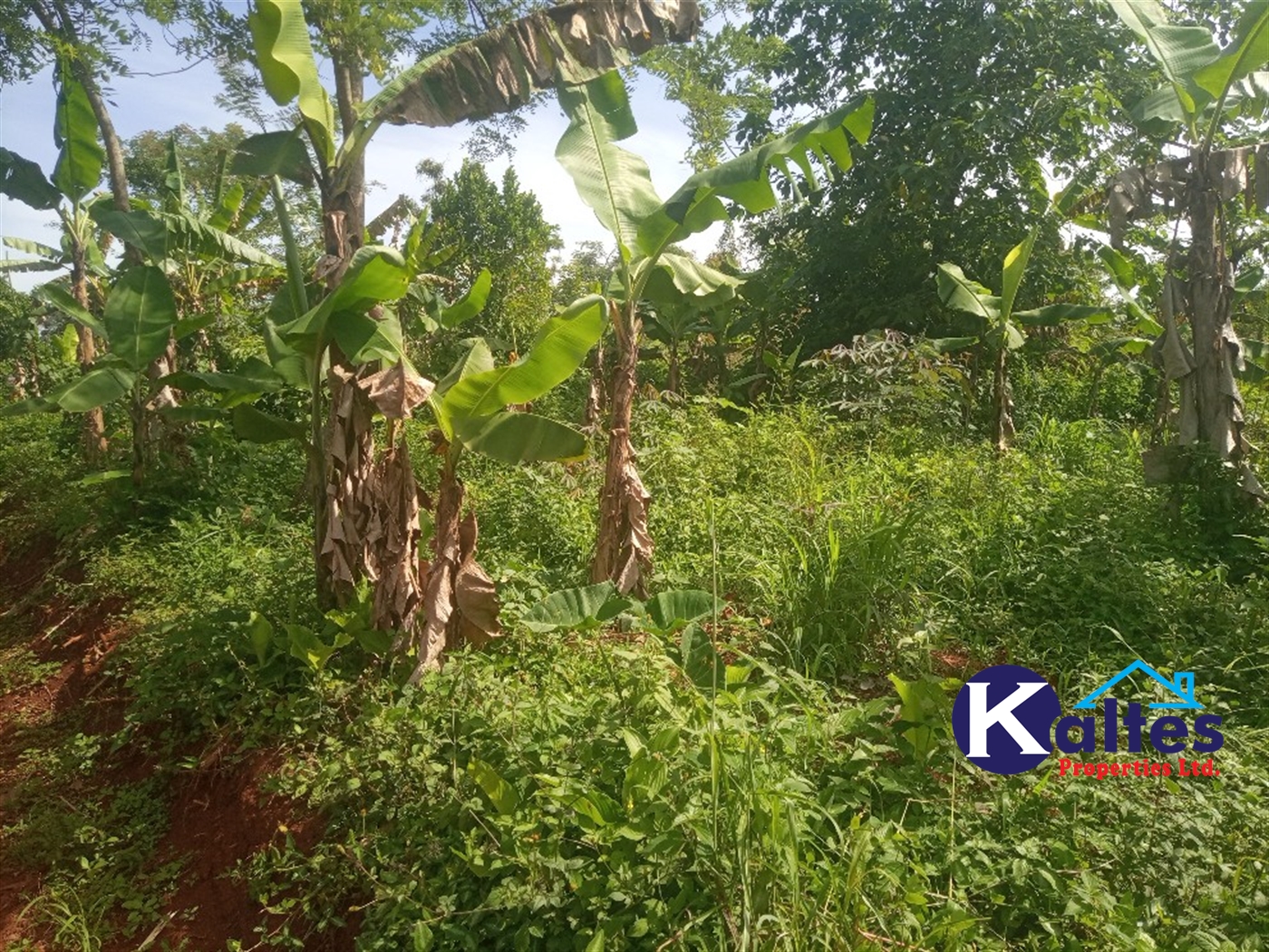 Agricultural Land for sale in Kidera Kayunga