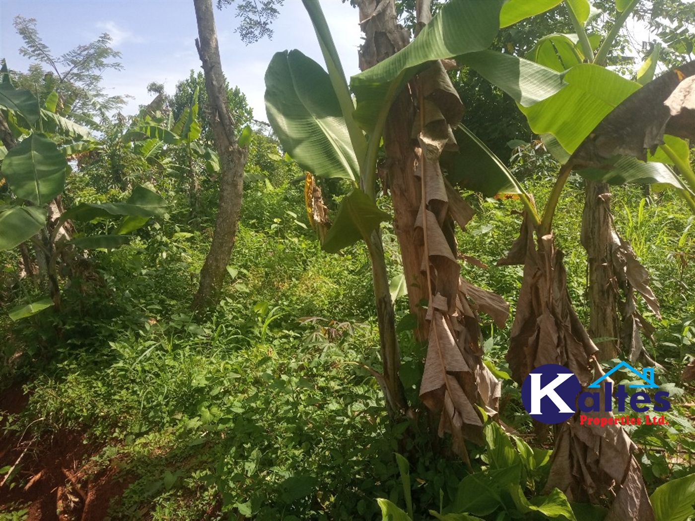 Agricultural Land for sale in Kidera Kayunga