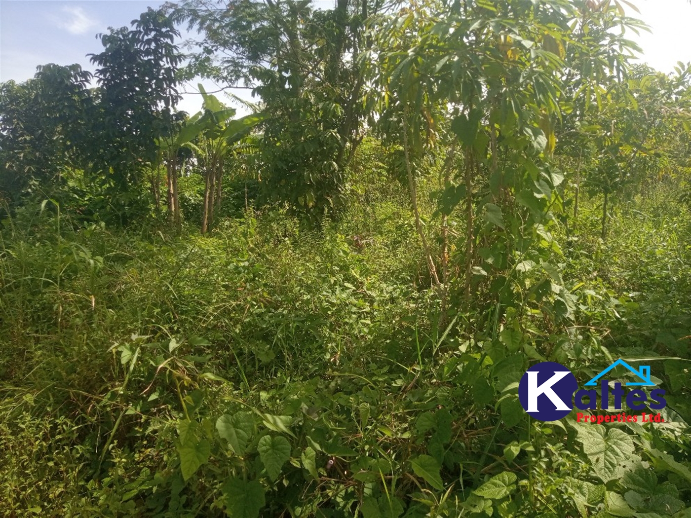 Agricultural Land for sale in Kidera Kayunga