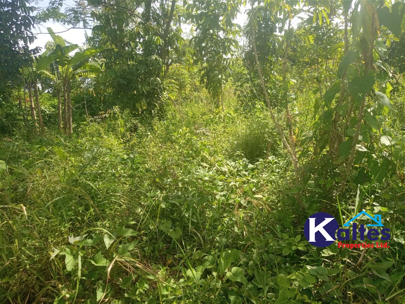 Agricultural Land for sale in Kidera Kayunga