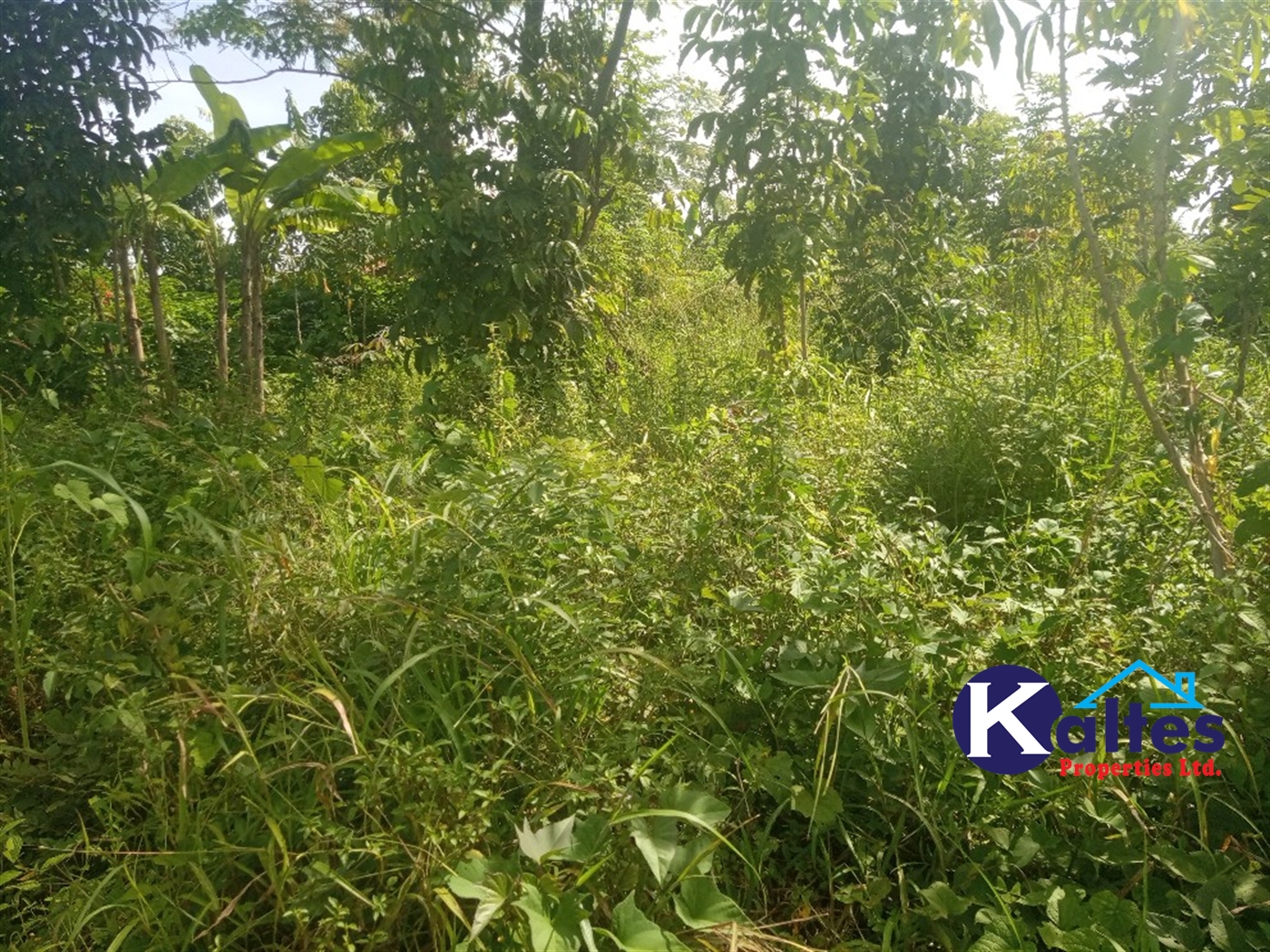 Agricultural Land for sale in Kidera Kayunga