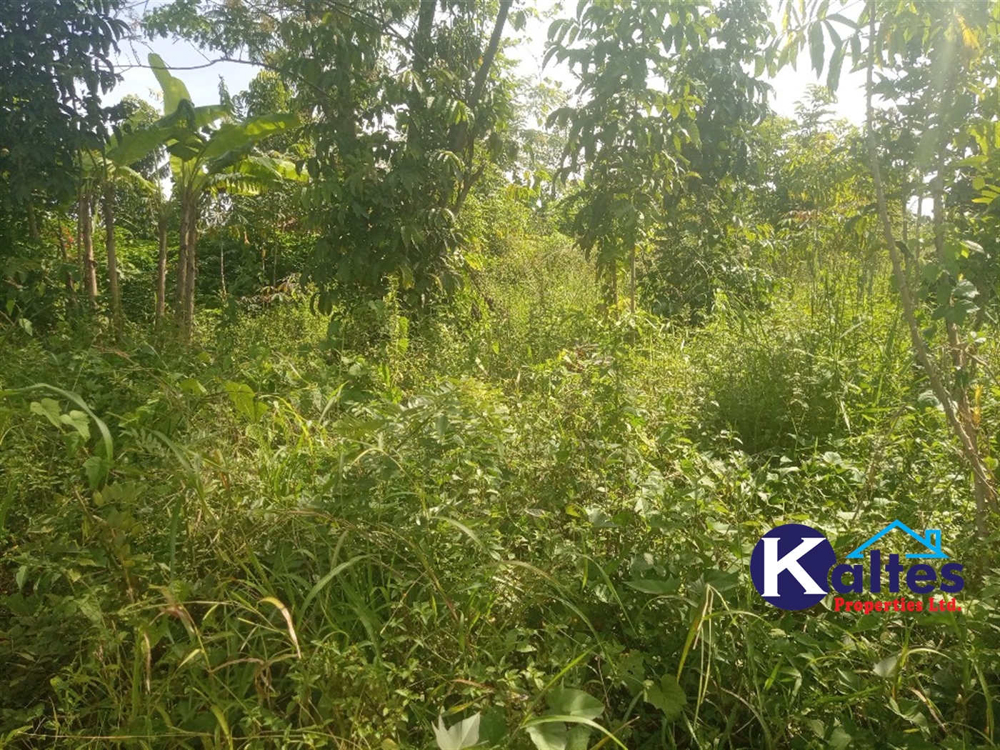 Agricultural Land for sale in Kidera Kayunga