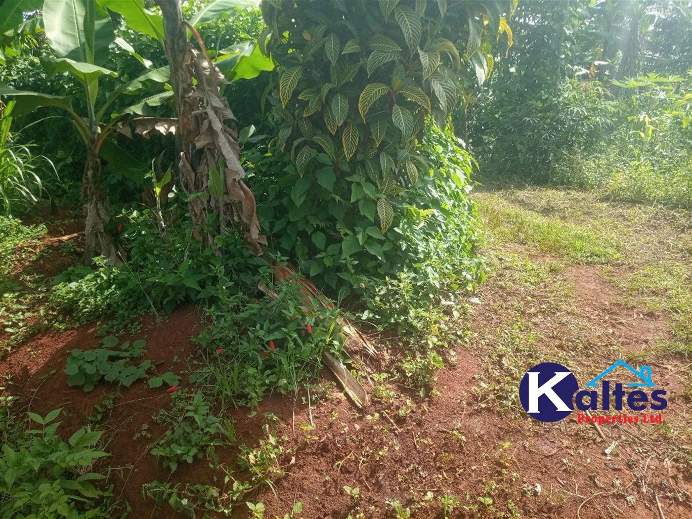Agricultural Land for sale in Kidera Kayunga