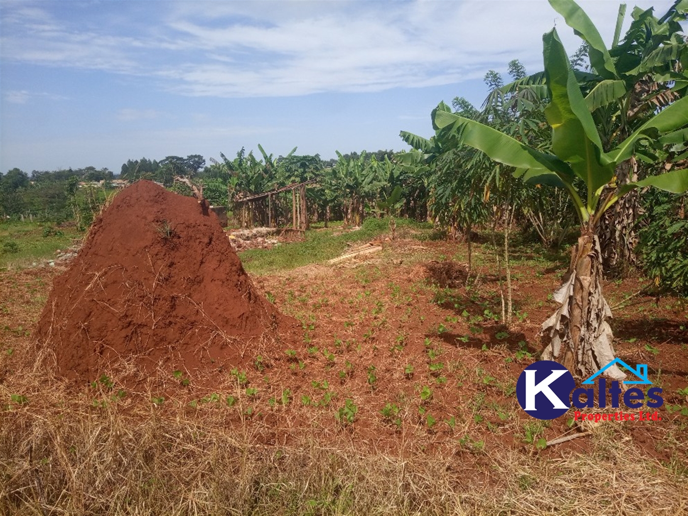 Agricultural Land for sale in Kidibya Kayunga