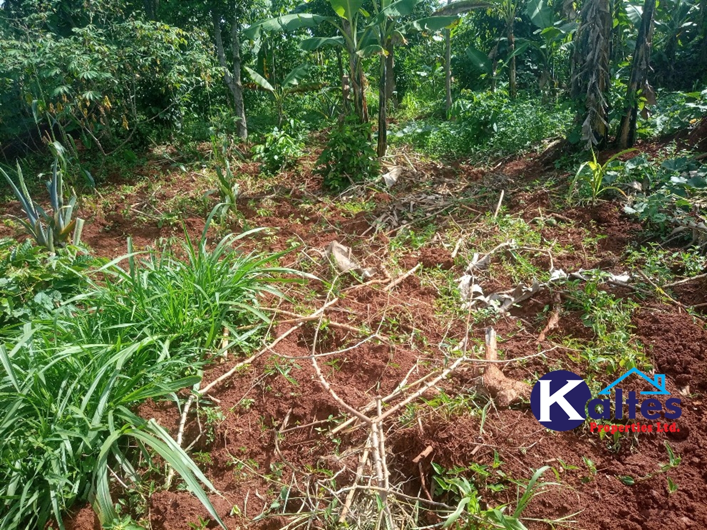 Agricultural Land for sale in Kidukulu Kayunga