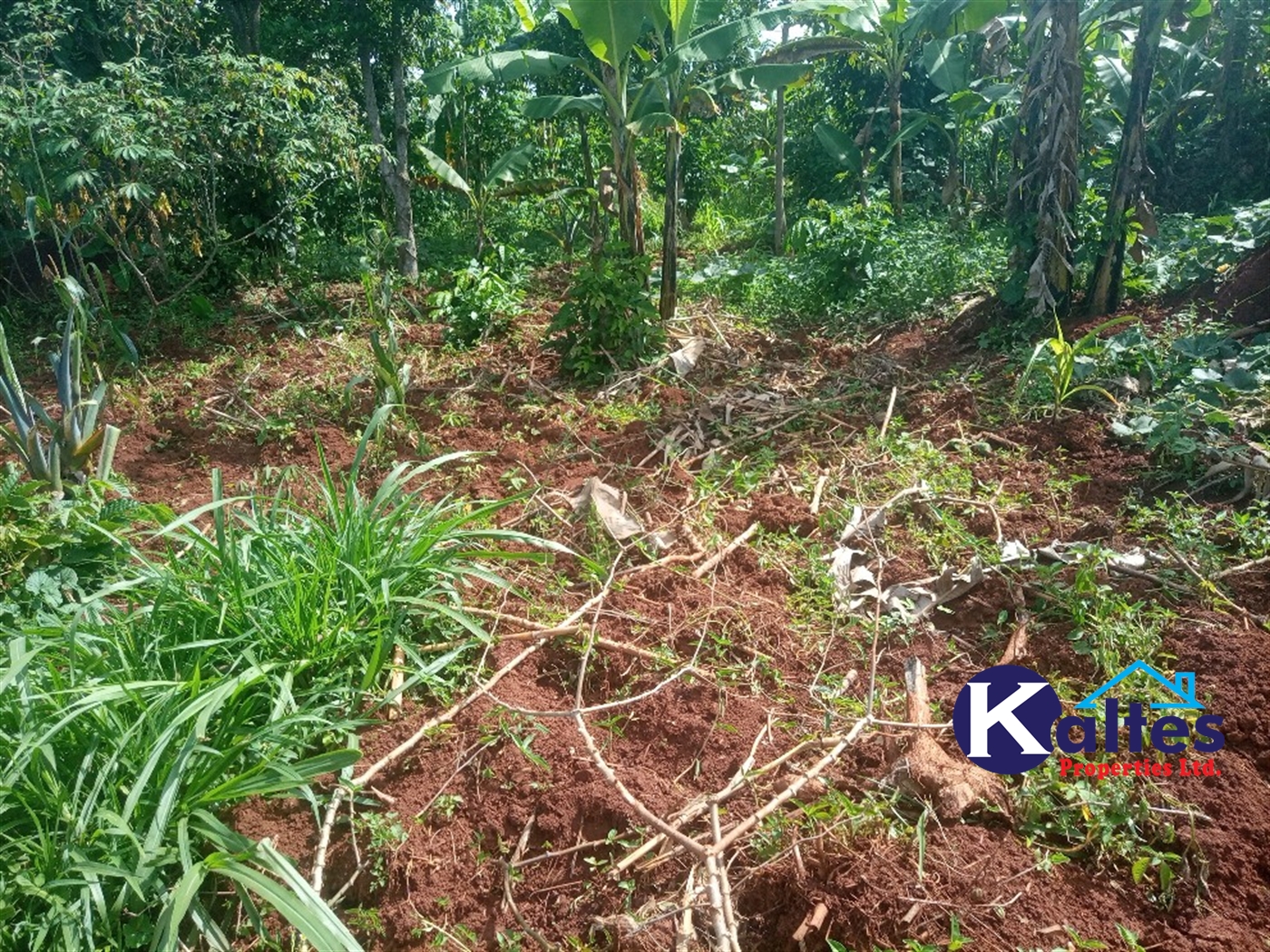 Agricultural Land for sale in Kidukulu Kayunga