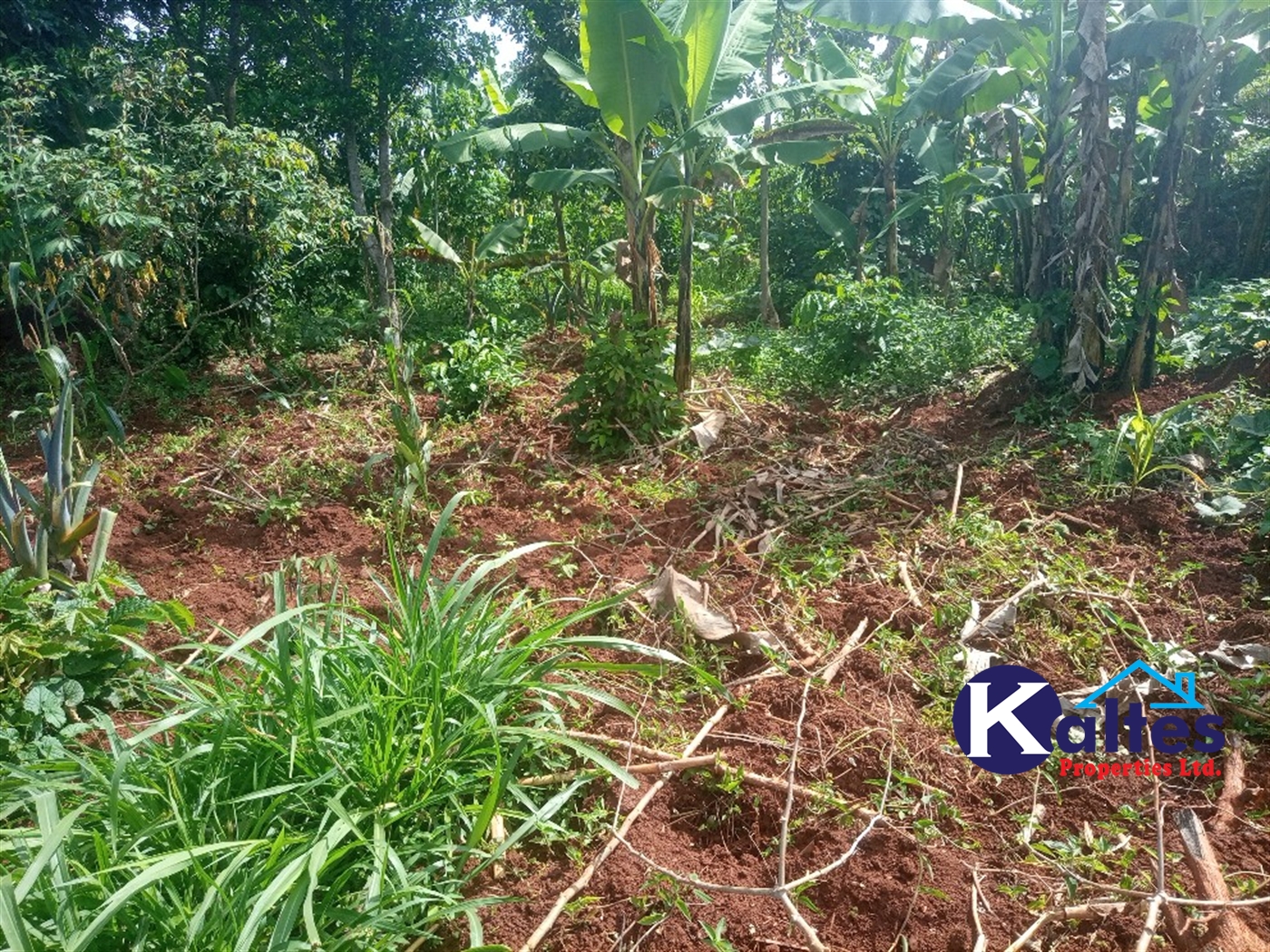 Agricultural Land for sale in Kidukulu Kayunga