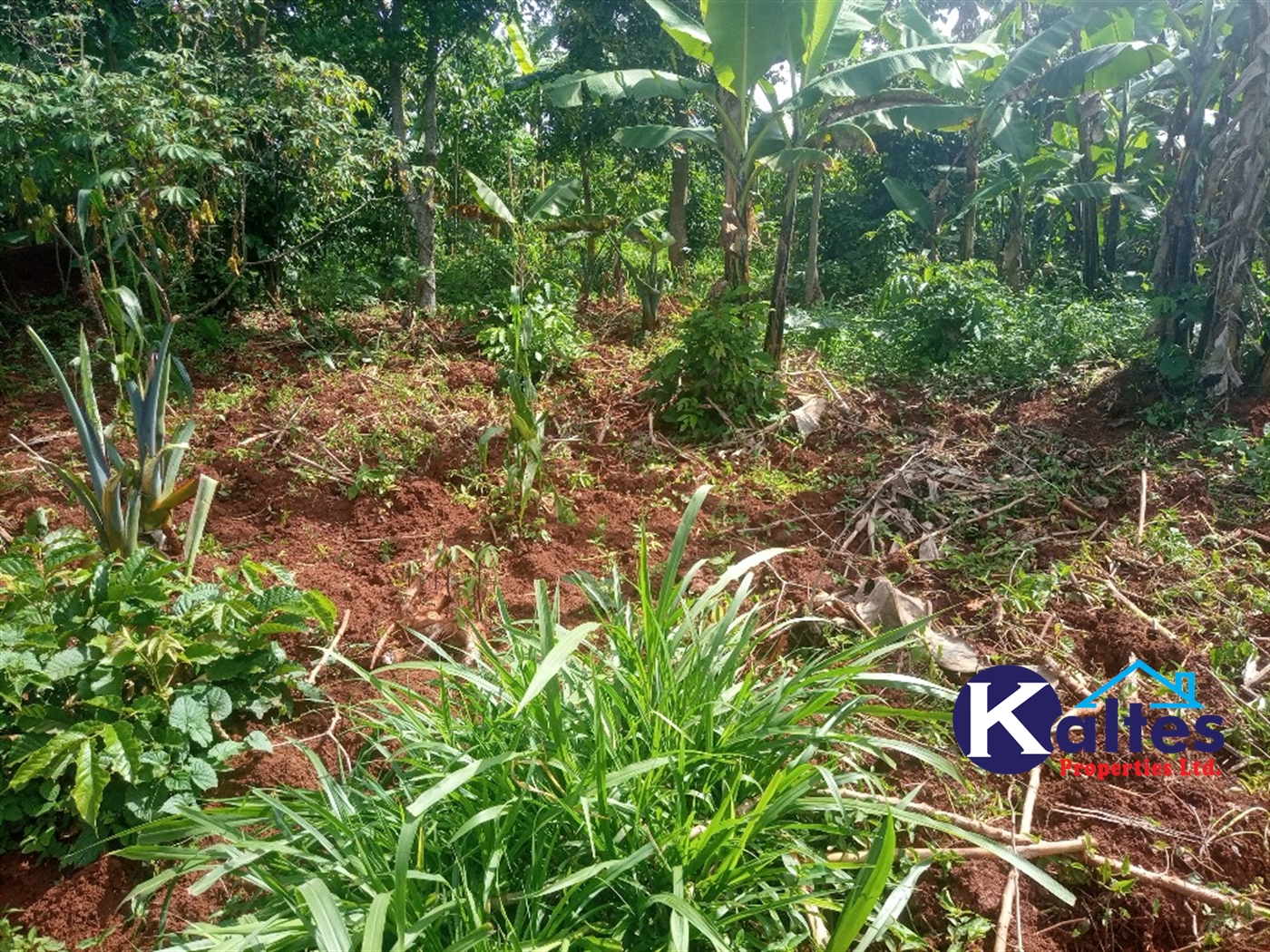 Agricultural Land for sale in Kidukulu Kayunga