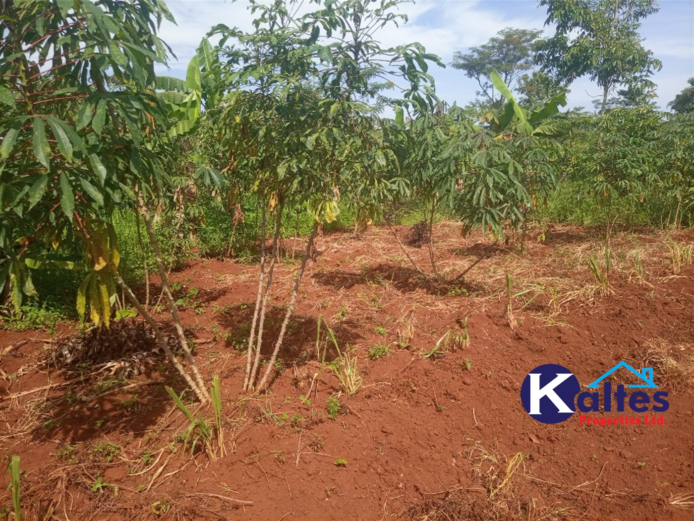 Agricultural Land for sale in Kidukulu Kayunga