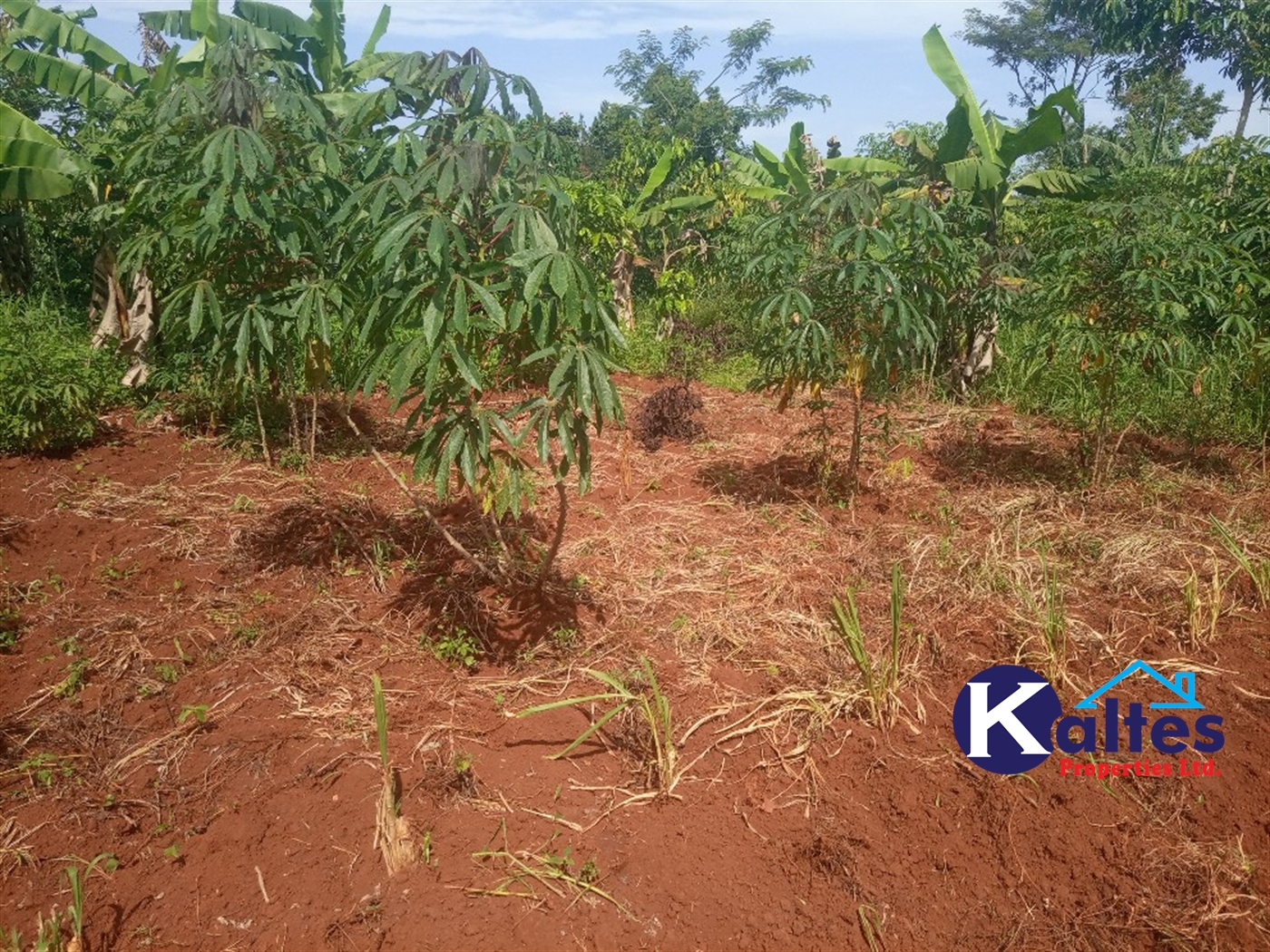 Agricultural Land for sale in Kidukulu Kayunga