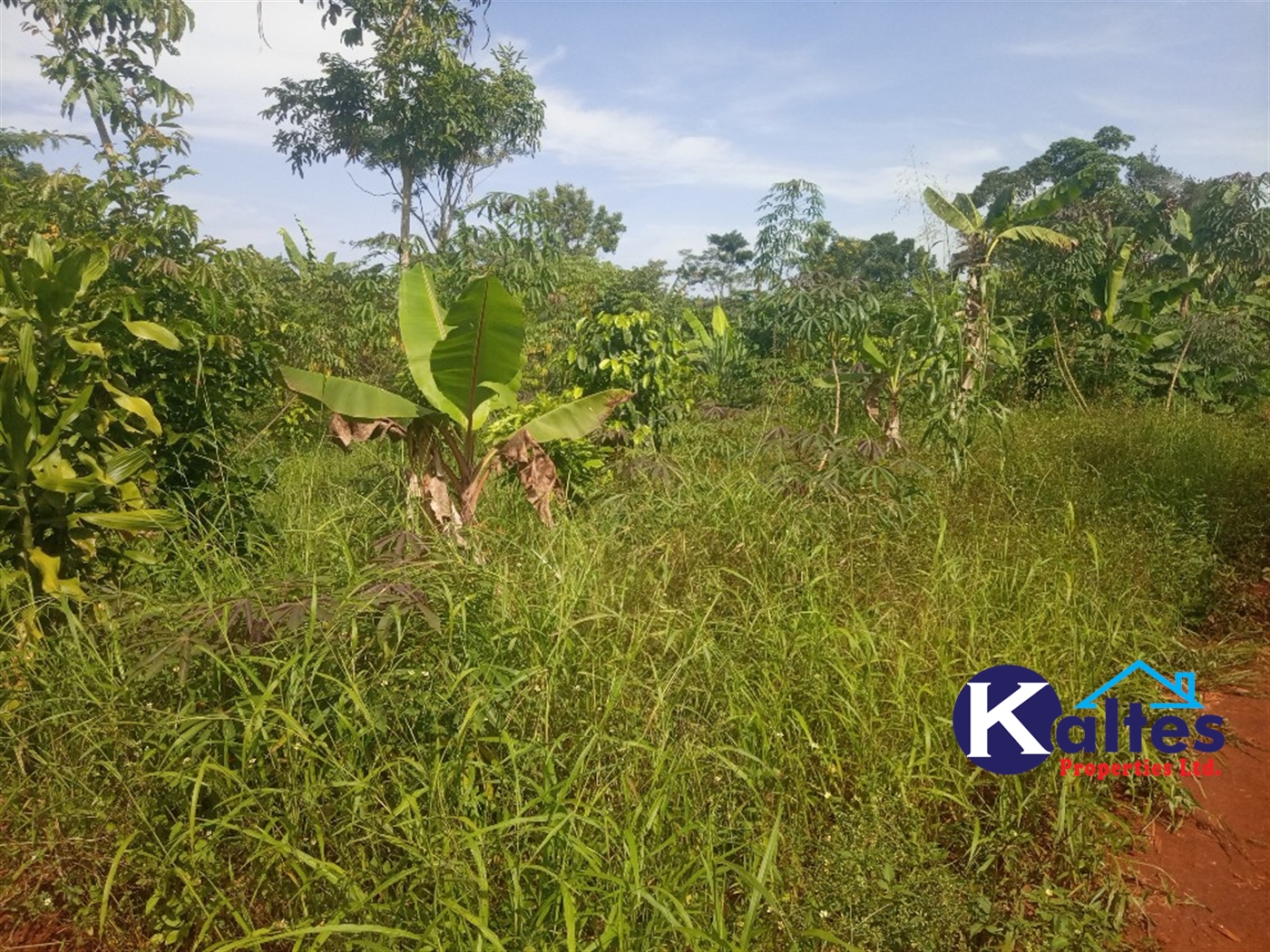 Agricultural Land for sale in Kidukulu Kayunga