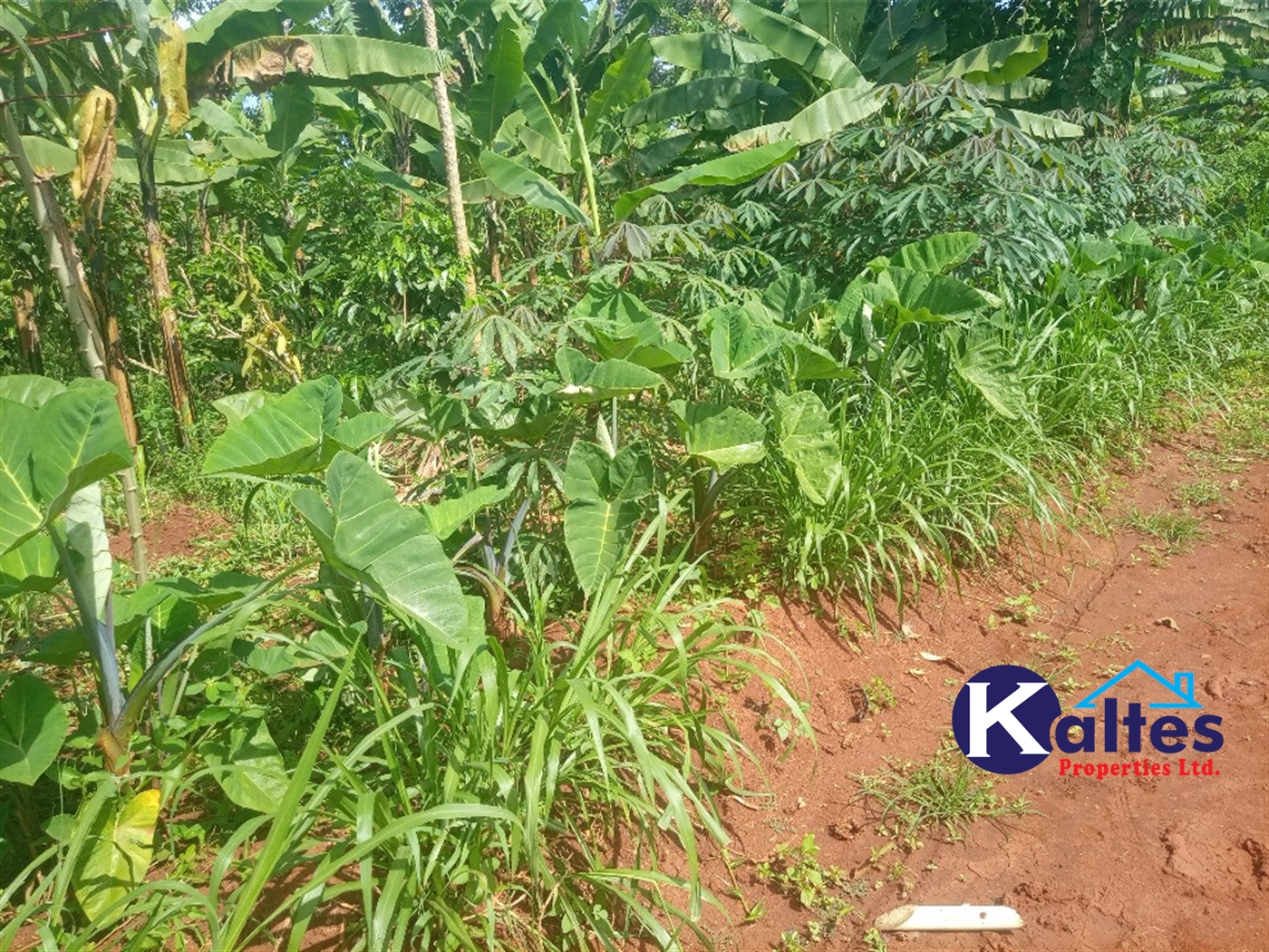 Agricultural Land for sale in Kidukulu Kayunga