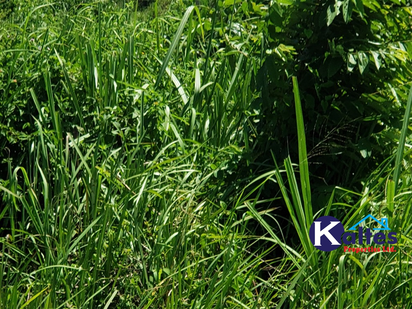 Agricultural Land for sale in Katosi Mukono