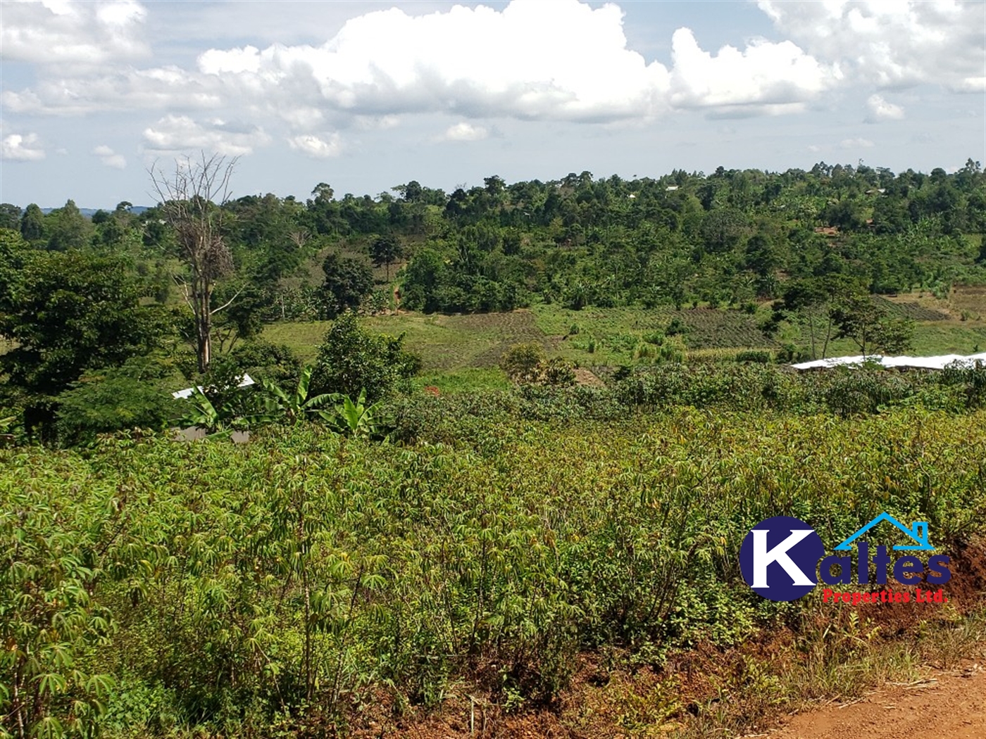 Agricultural Land for sale in Katosi Mukono