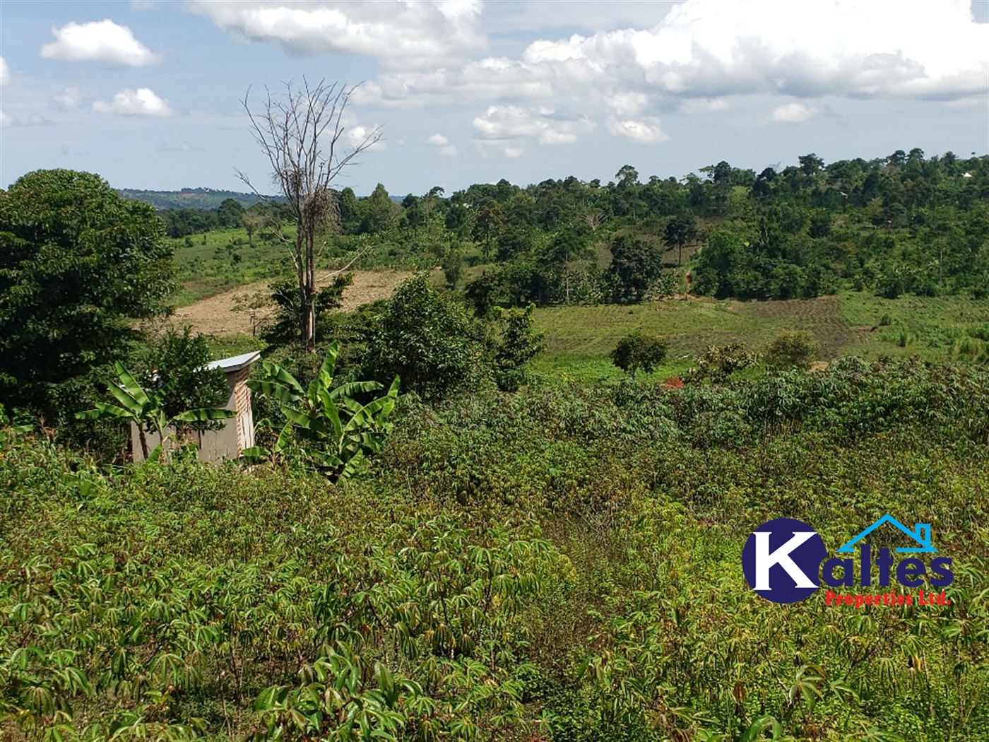 Agricultural Land for sale in Katosi Mukono