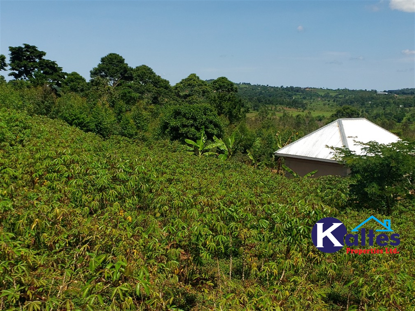 Agricultural Land for sale in Katosi Mukono