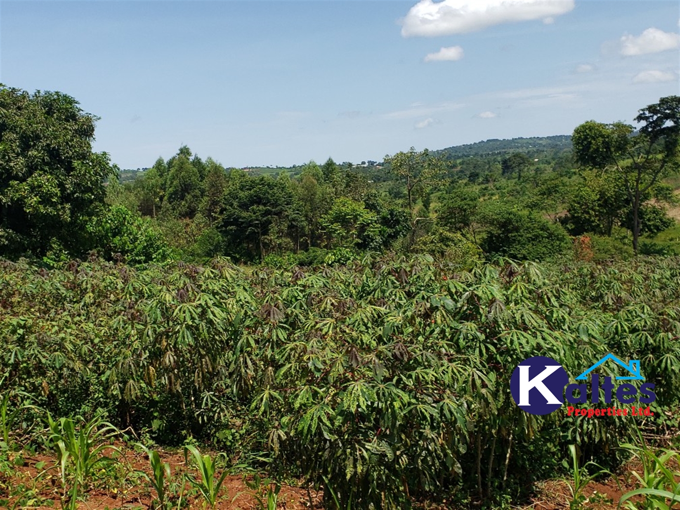 Agricultural Land for sale in Katosi Mukono