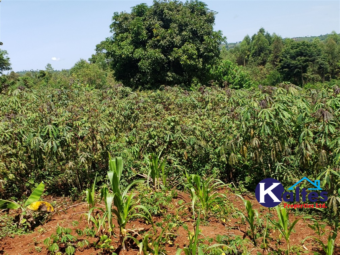 Agricultural Land for sale in Katosi Mukono