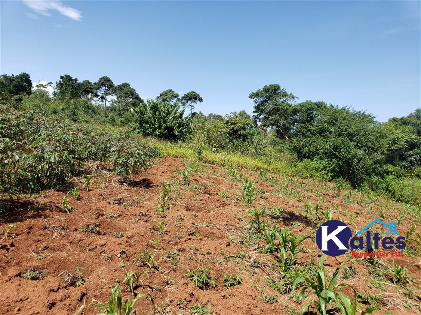 Agricultural Land for sale in Katosi Mukono