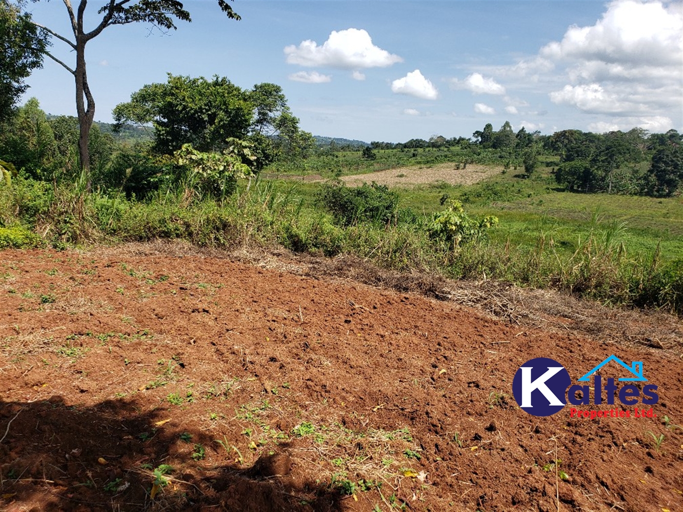 Agricultural Land for sale in Katosi Mukono