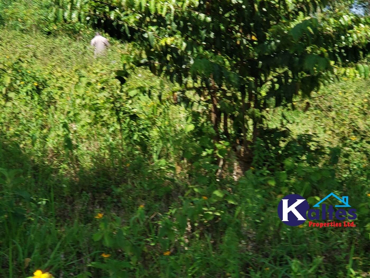 Agricultural Land for sale in Katosi Mukono