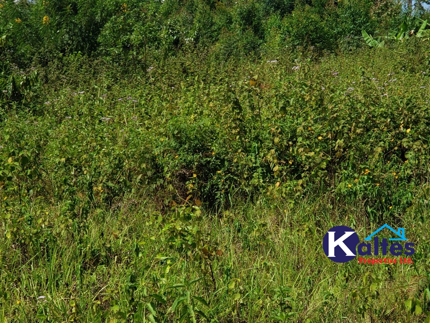 Agricultural Land for sale in Katosi Mukono