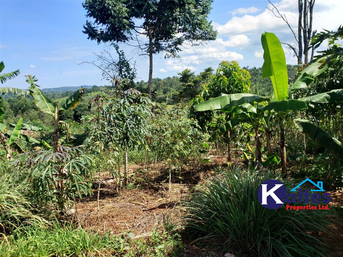 Agricultural Land for sale in Katosi Mukono