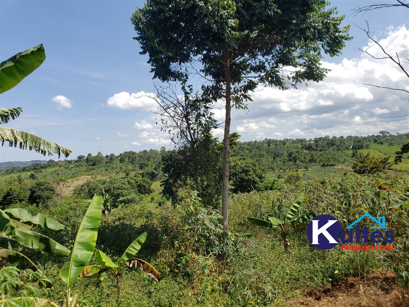 Agricultural Land for sale in Katosi Mukono