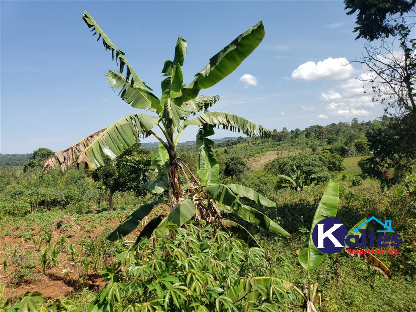 Agricultural Land for sale in Katosi Mukono