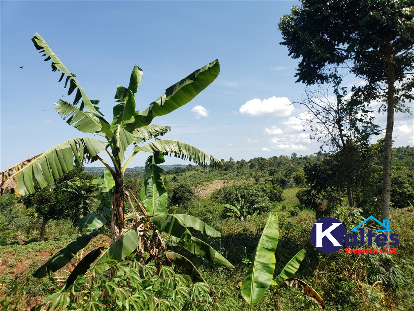 Agricultural Land for sale in Katosi Mukono