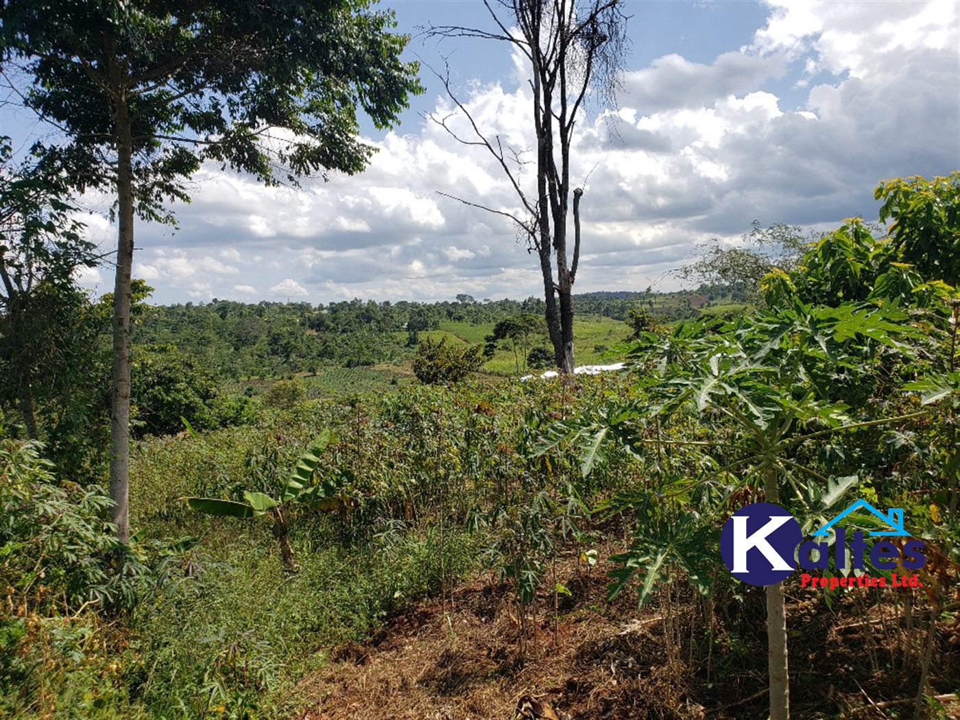 Agricultural Land for sale in Katosi Mukono