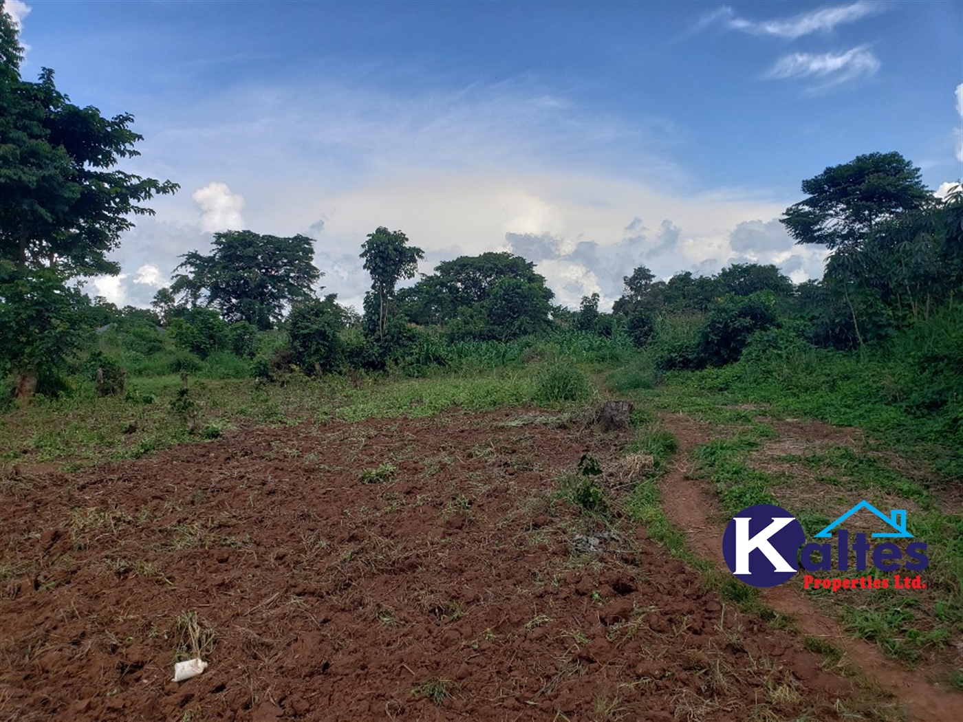 Agricultural Land for sale in Katosi Mukono