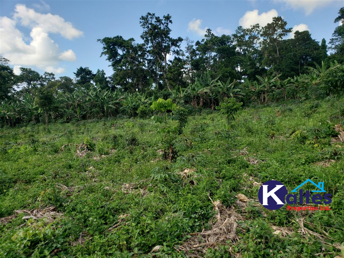 Agricultural Land for sale in Katosi Mukono