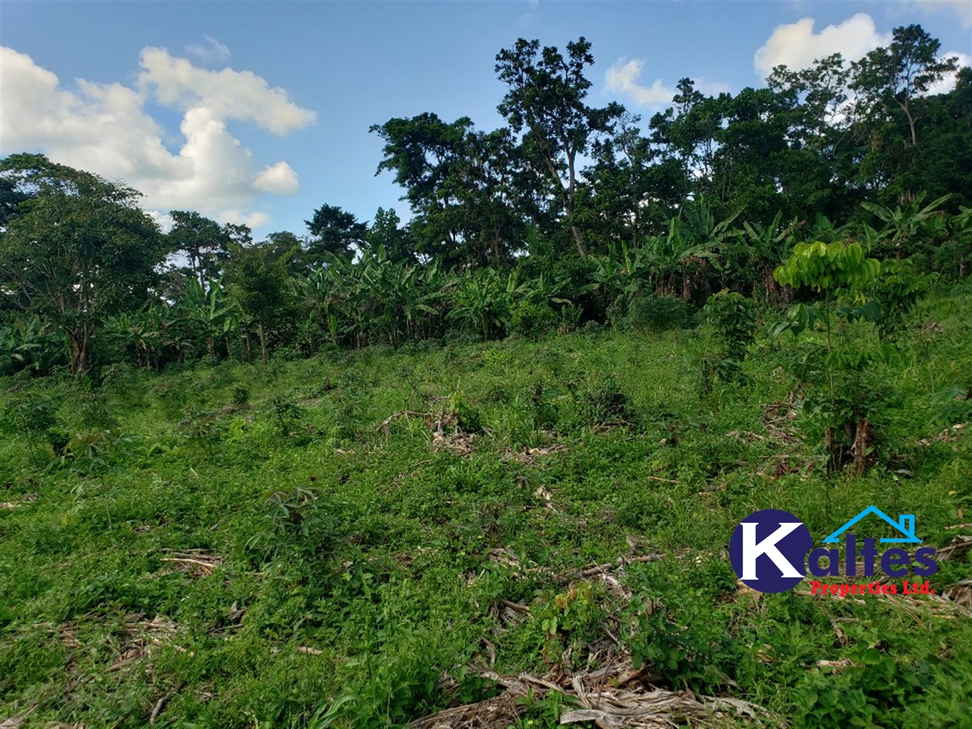 Agricultural Land for sale in Katosi Mukono