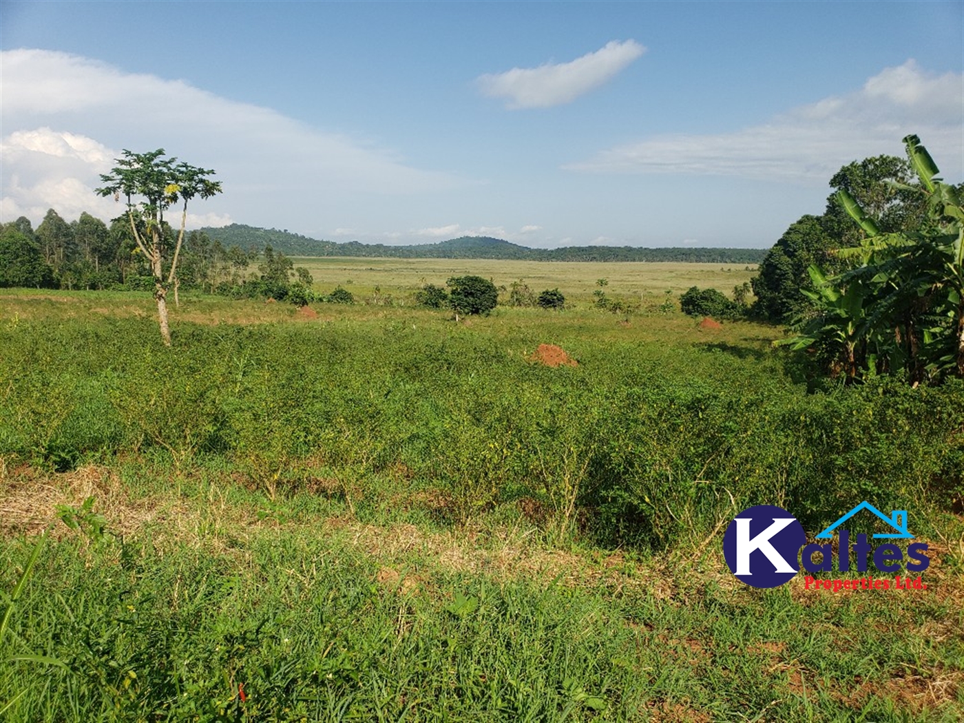 Agricultural Land for sale in Katosi Mukono