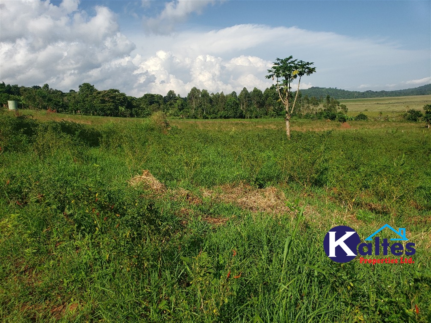 Agricultural Land for sale in Katosi Mukono