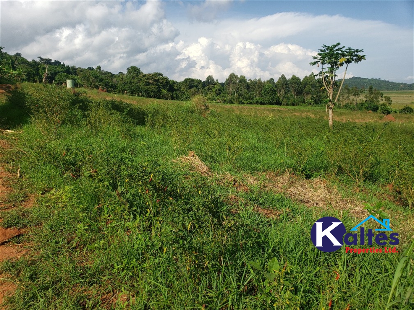 Agricultural Land for sale in Katosi Mukono