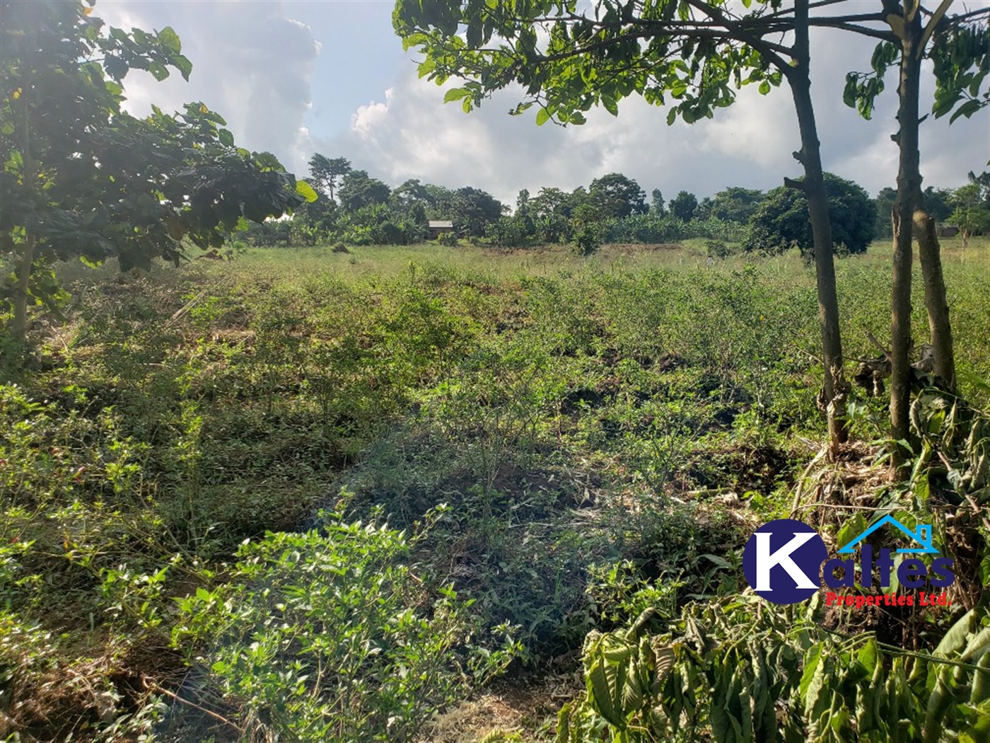 Agricultural Land for sale in Katosi Mukono