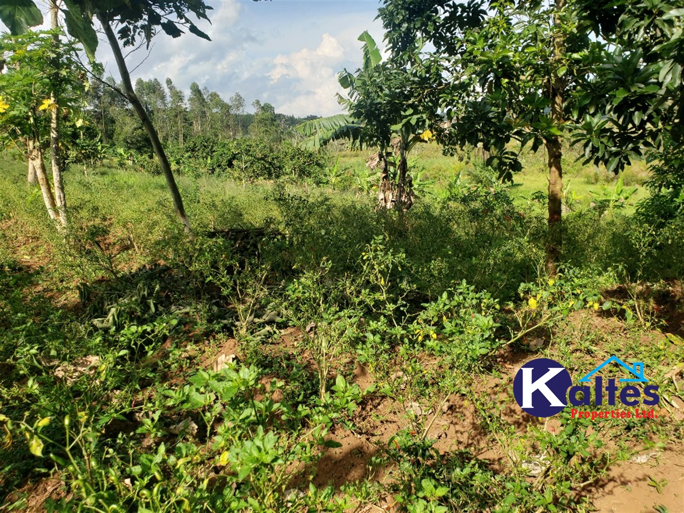 Agricultural Land for sale in Katosi Mukono