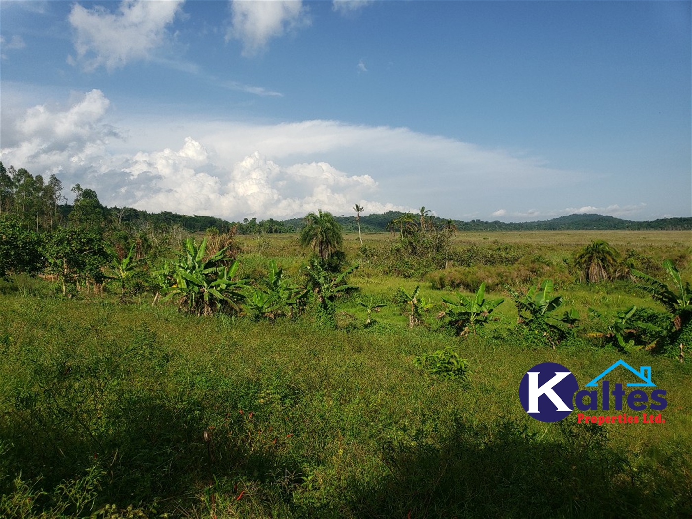 Agricultural Land for sale in Katosi Mukono