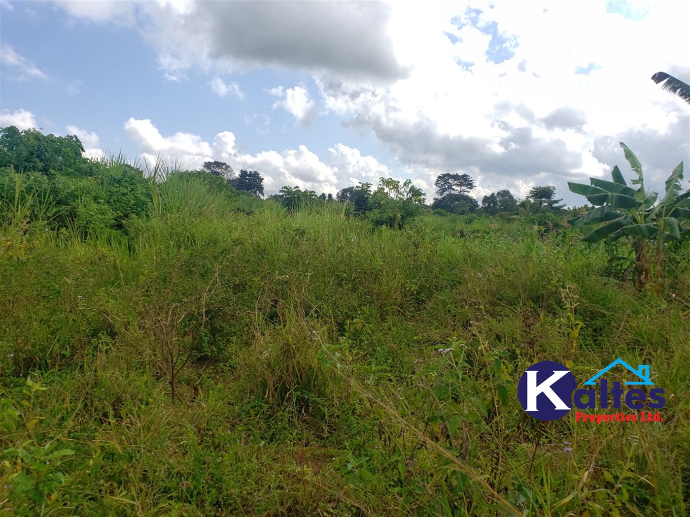 Agricultural Land for sale in Katosi Mukono