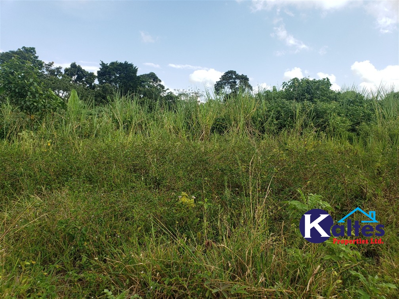 Agricultural Land for sale in Katosi Mukono