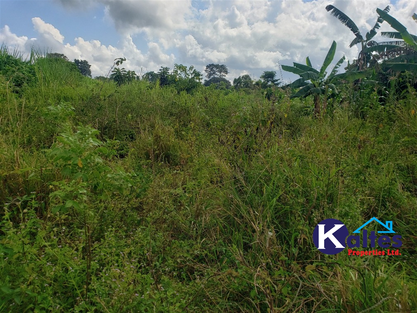 Agricultural Land for sale in Katosi Mukono