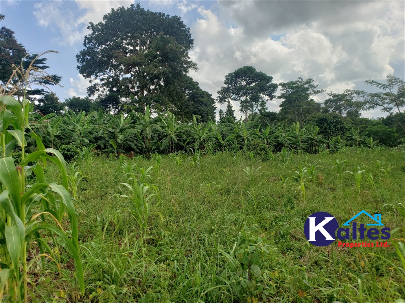 Agricultural Land for sale in Katosi Mukono