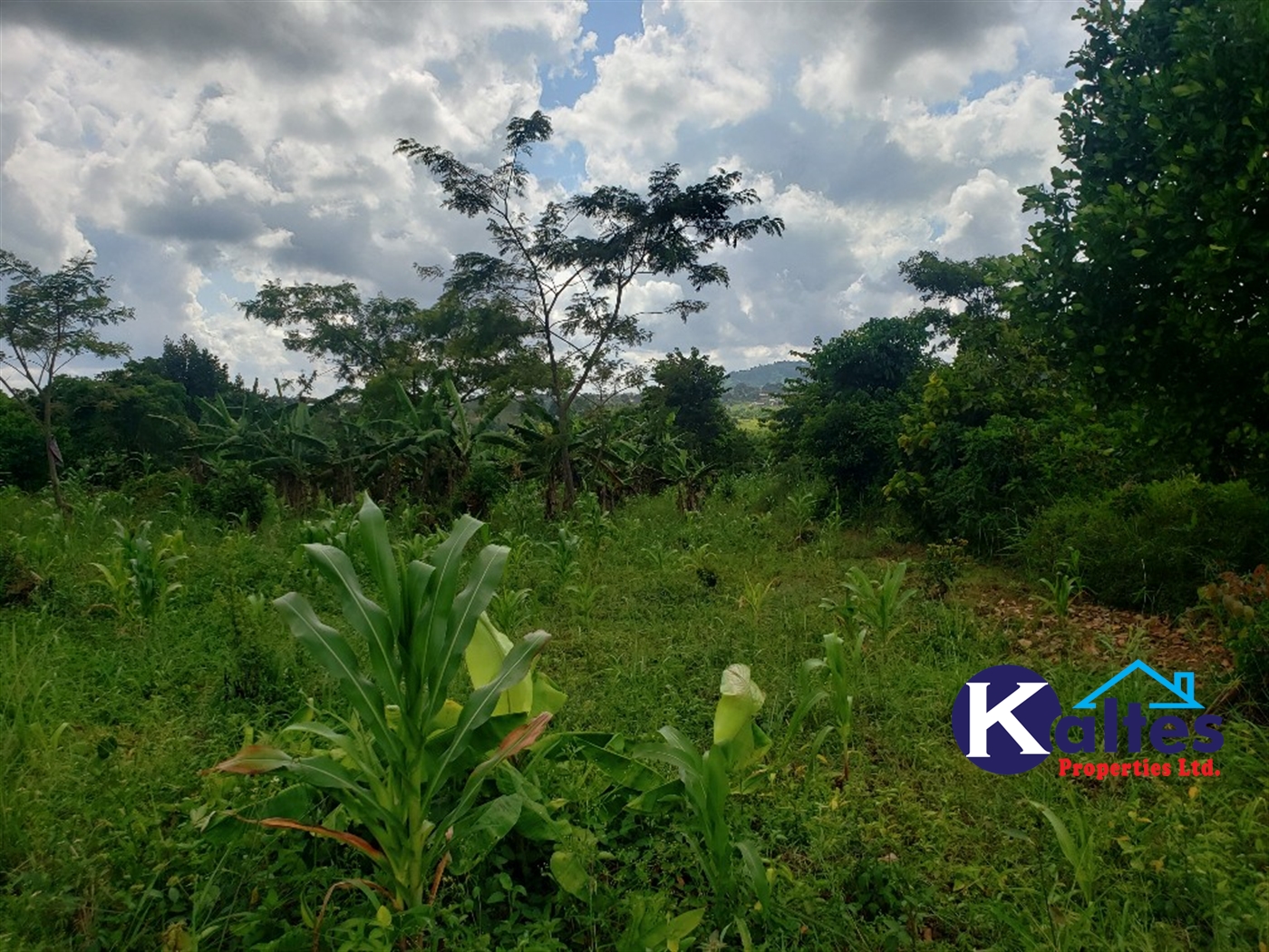 Agricultural Land for sale in Katosi Mukono