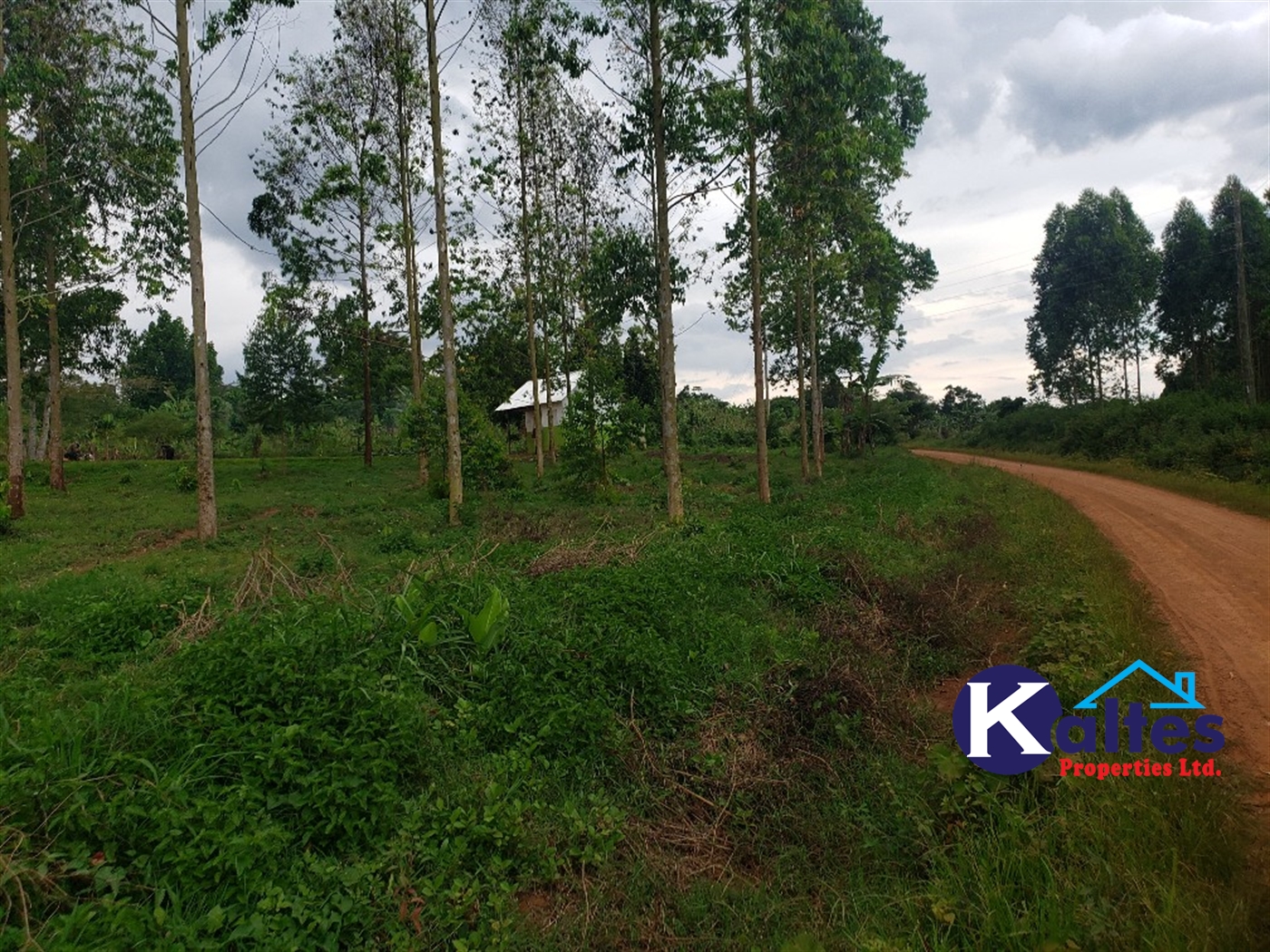 Agricultural Land for sale in Katosi Mukono