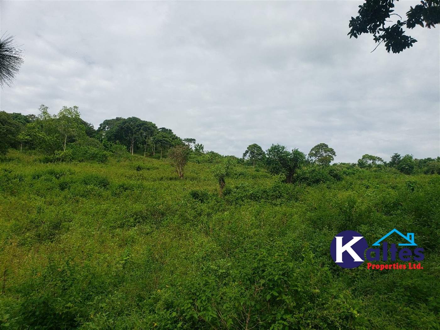 Agricultural Land for sale in Katosi Mukono