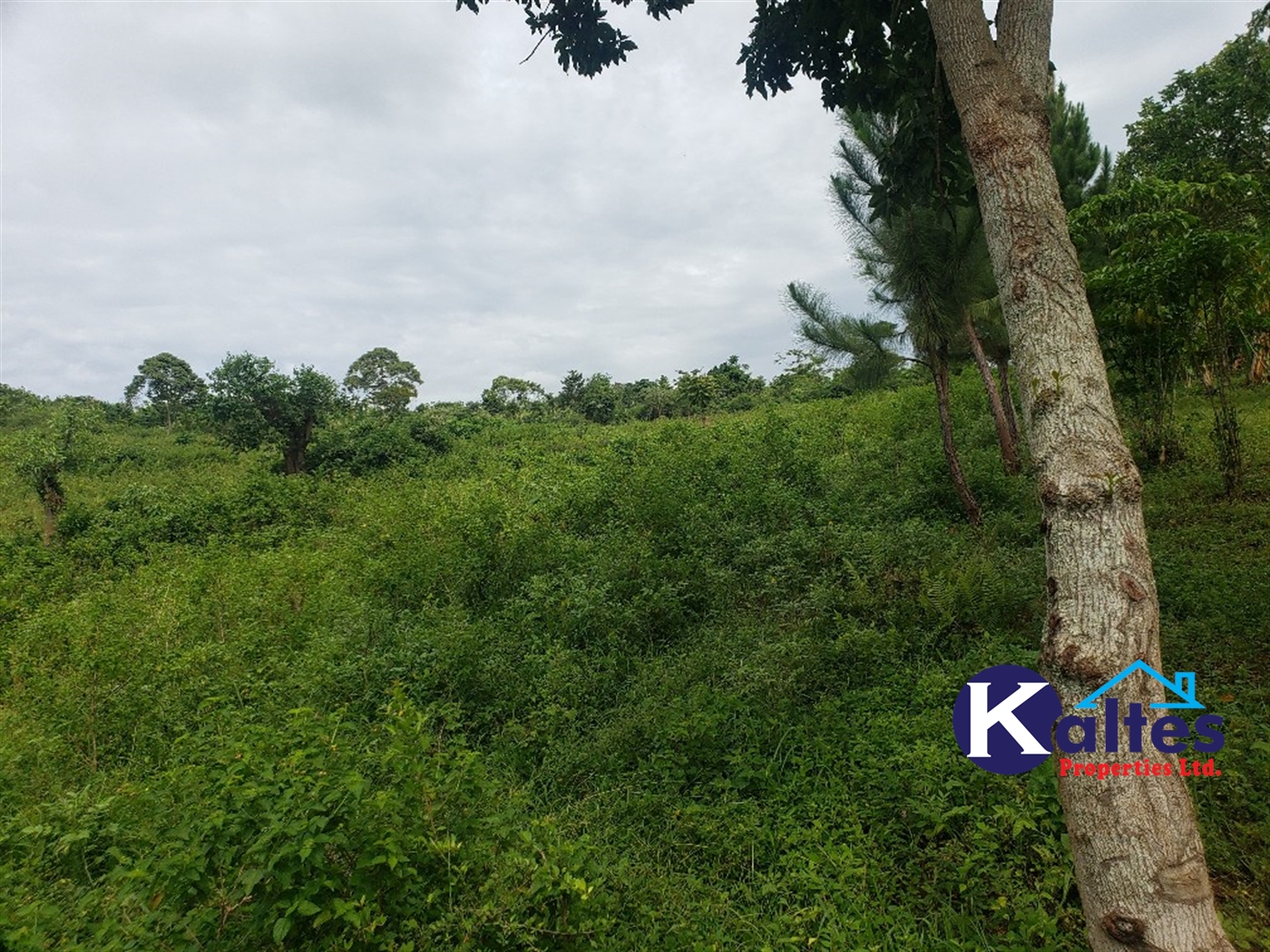 Agricultural Land for sale in Katosi Mukono